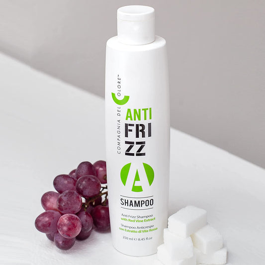 Compagnia del colore shampoo daily care anti frizz