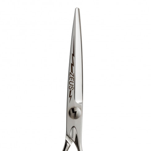 Leader Cam - Forbice da taglio Leader Zeus - 6,5''