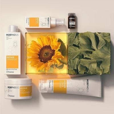 Framesi - Repair