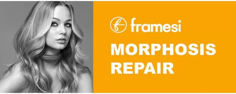 Framesi  - repair