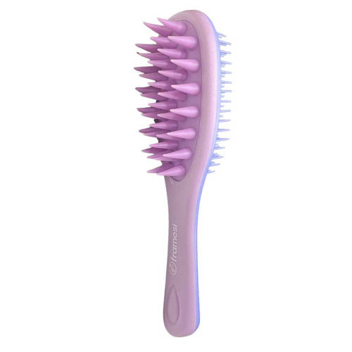 Morphosis Massaging Brush Framesi